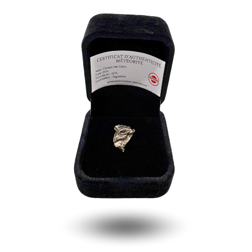 Meteoritenfragment Campo del cielo in einer Schmuckschatulle