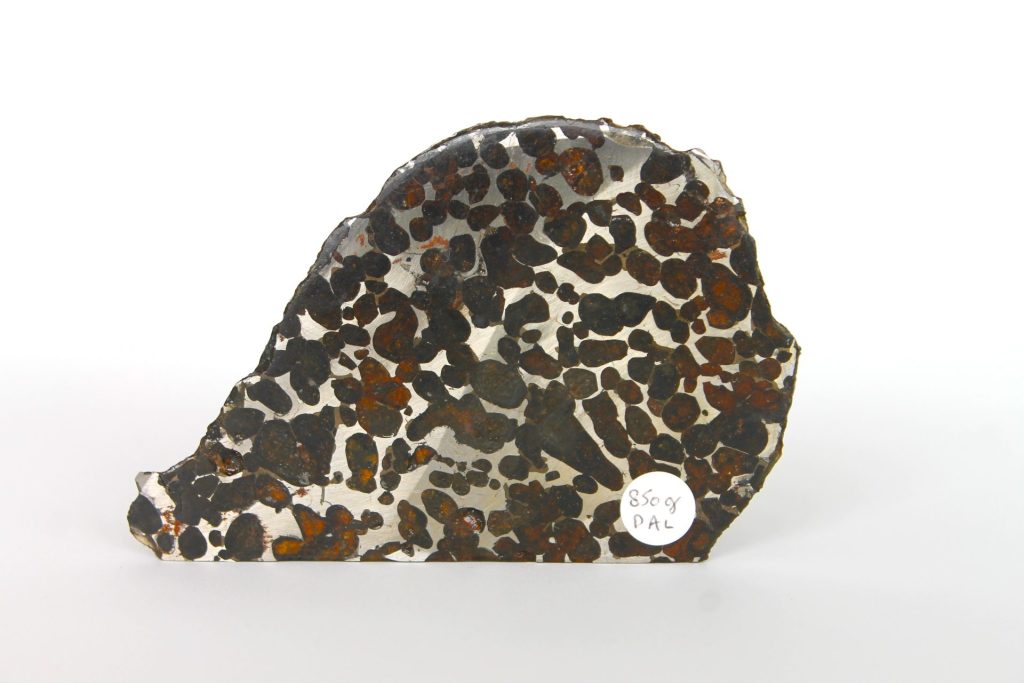 Pallasit Sericho Preis Meteorit