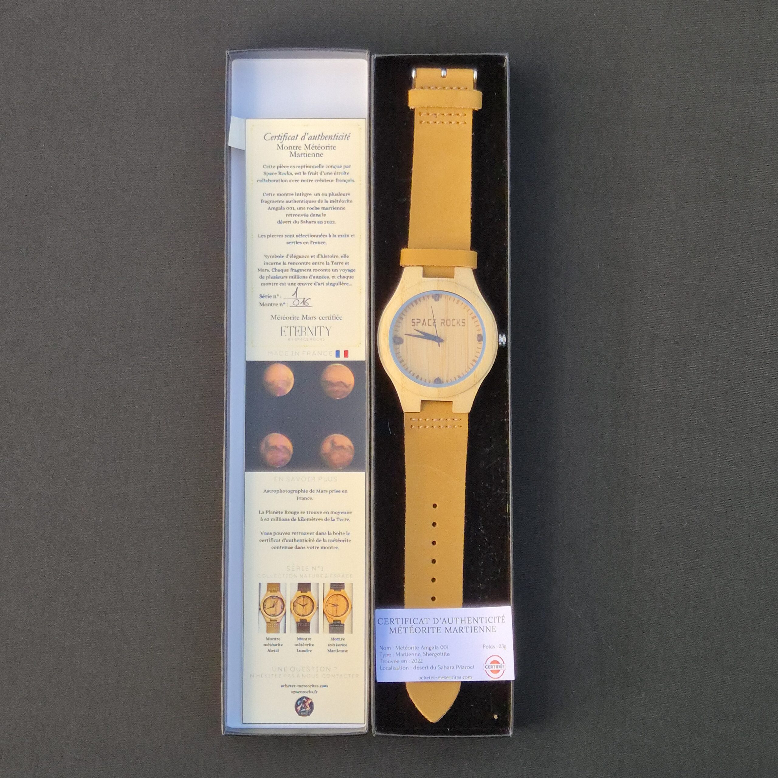 montre mars météorite martienne