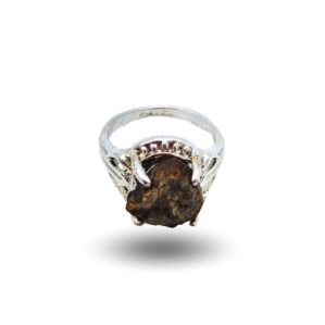 Bague chondrite acier nwa xxx