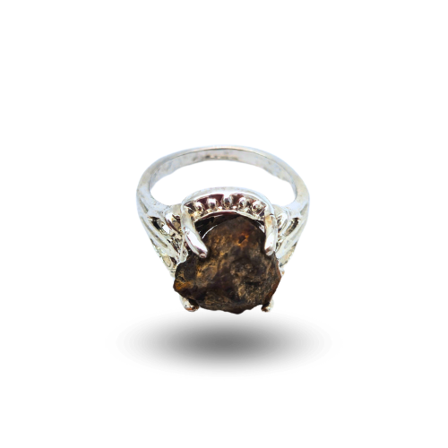 Ring Chondrit Stahl Nwa xxx