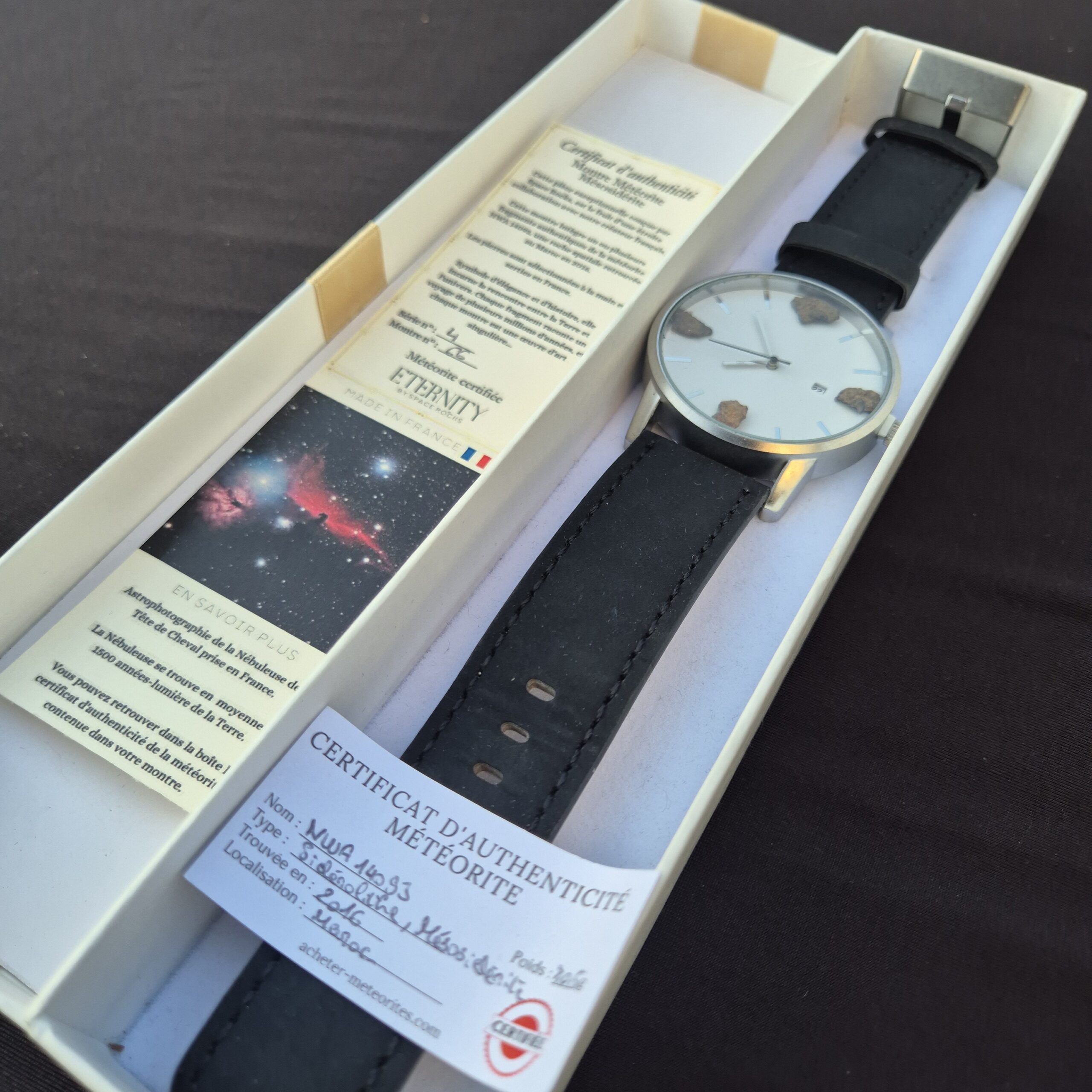montre météorite nwa mésosidérite