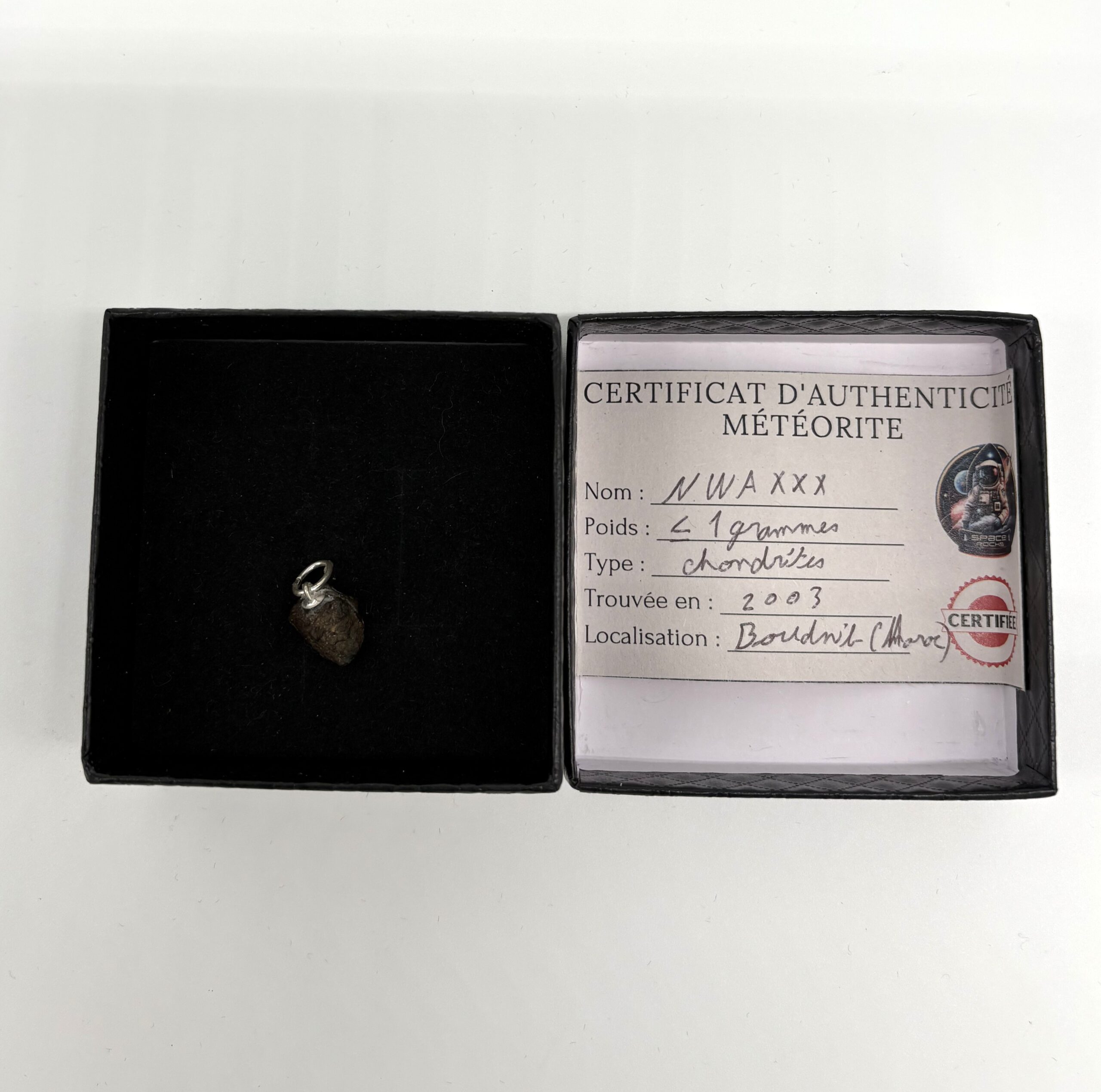 Chondrit-Anhänger Nwa xxx (1)