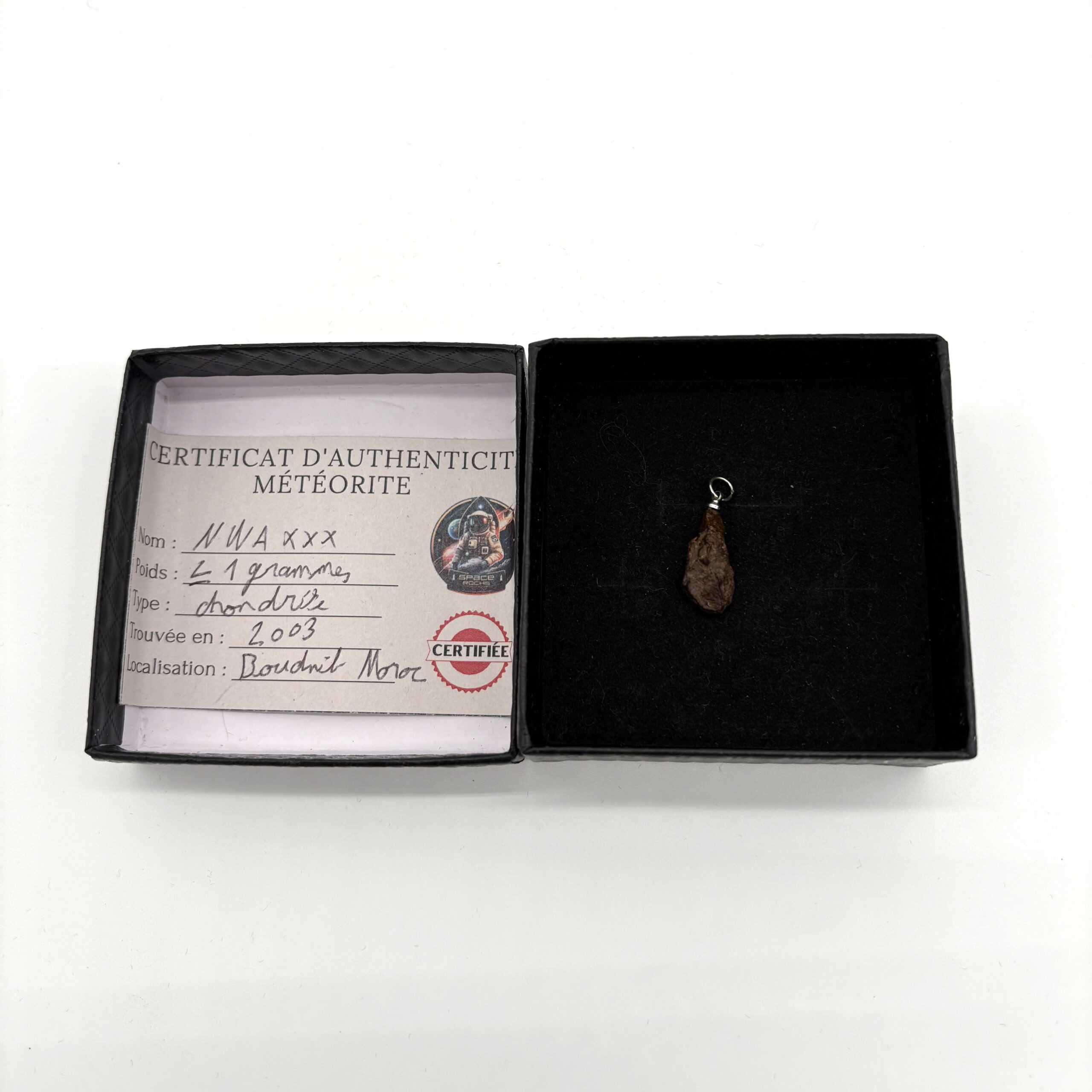 Chondrit-Anhänger Nwa xxx (11)