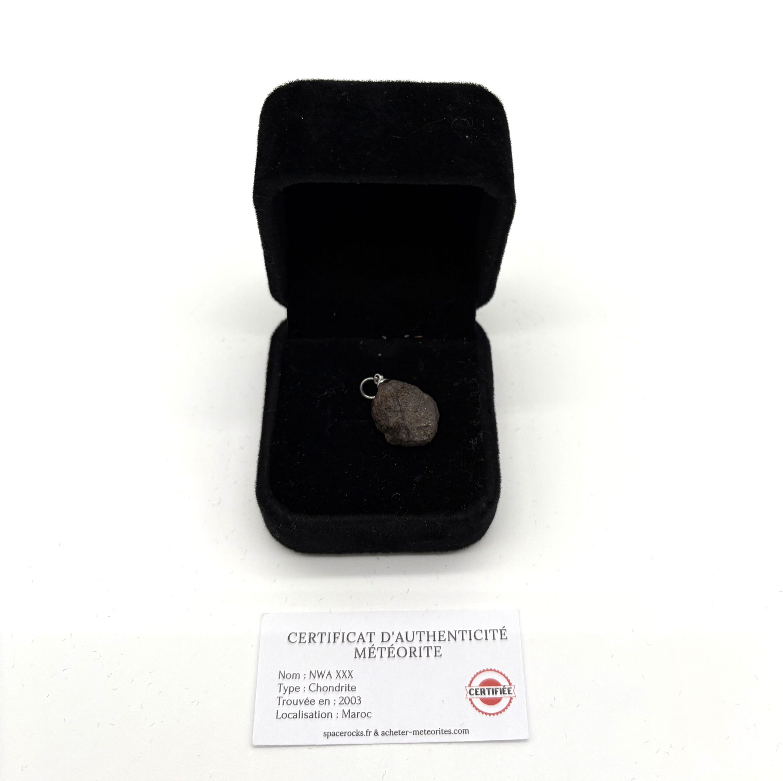 Chondrit-Anhänger Nwa xxx (12)