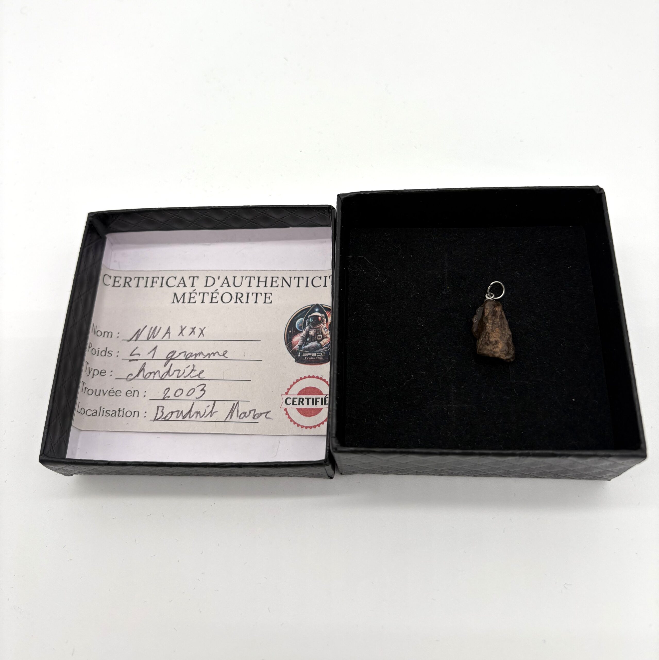 Chondrit-Anhänger Nwa xxx (13)