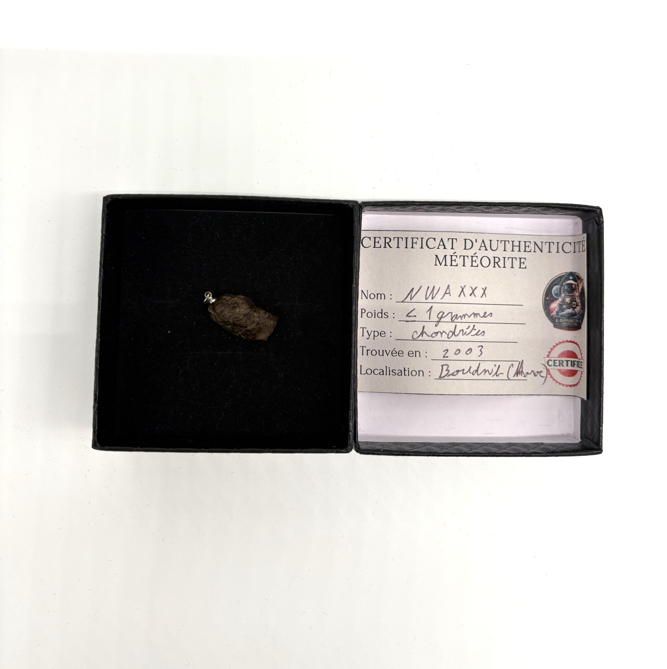 Chondrit-Anhänger Nwa xxx (2)