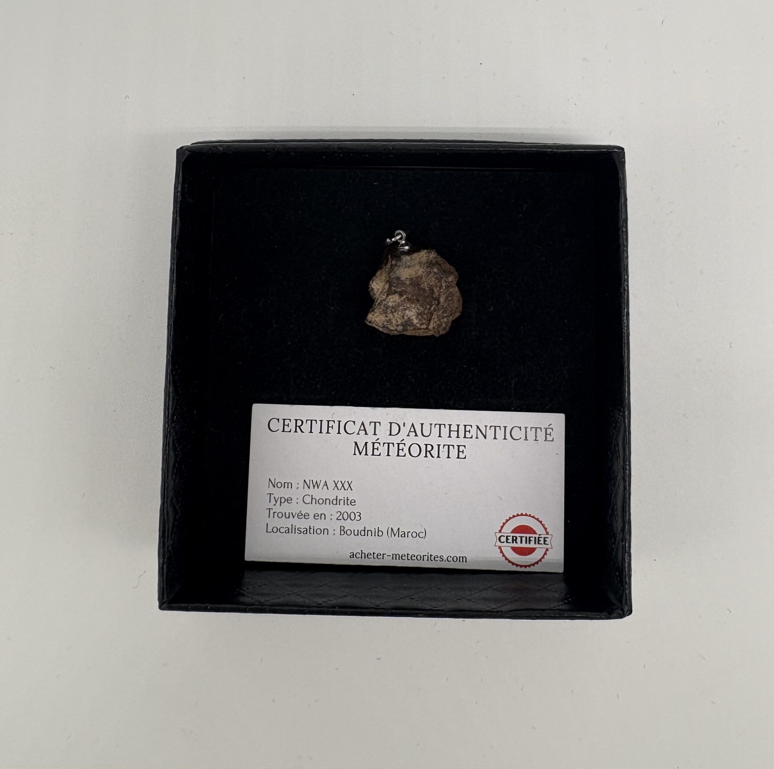 Chondrit-Anhänger Nwa xxx (3)