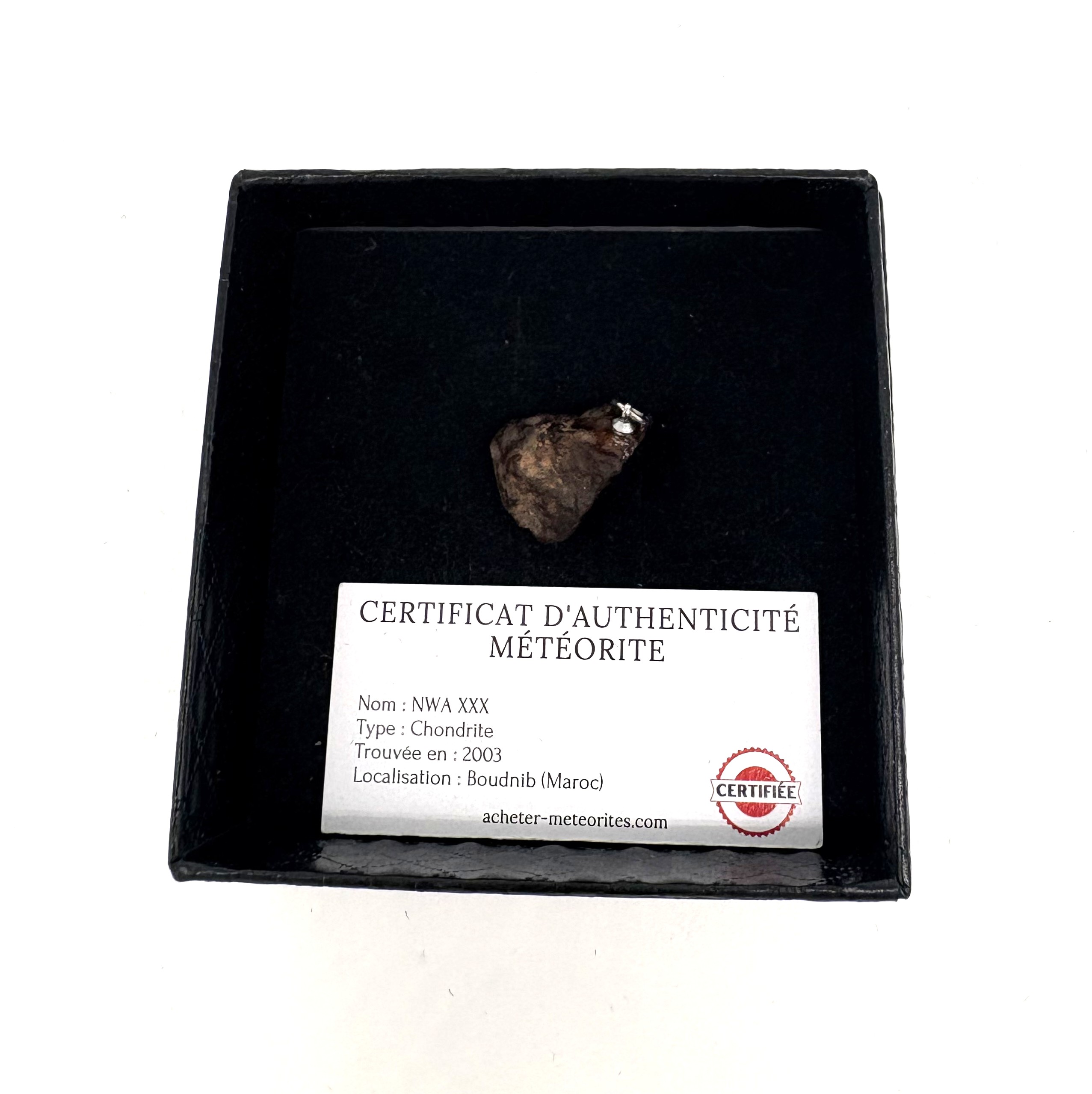 Chondrit-Anhänger Nwa xxx (4)