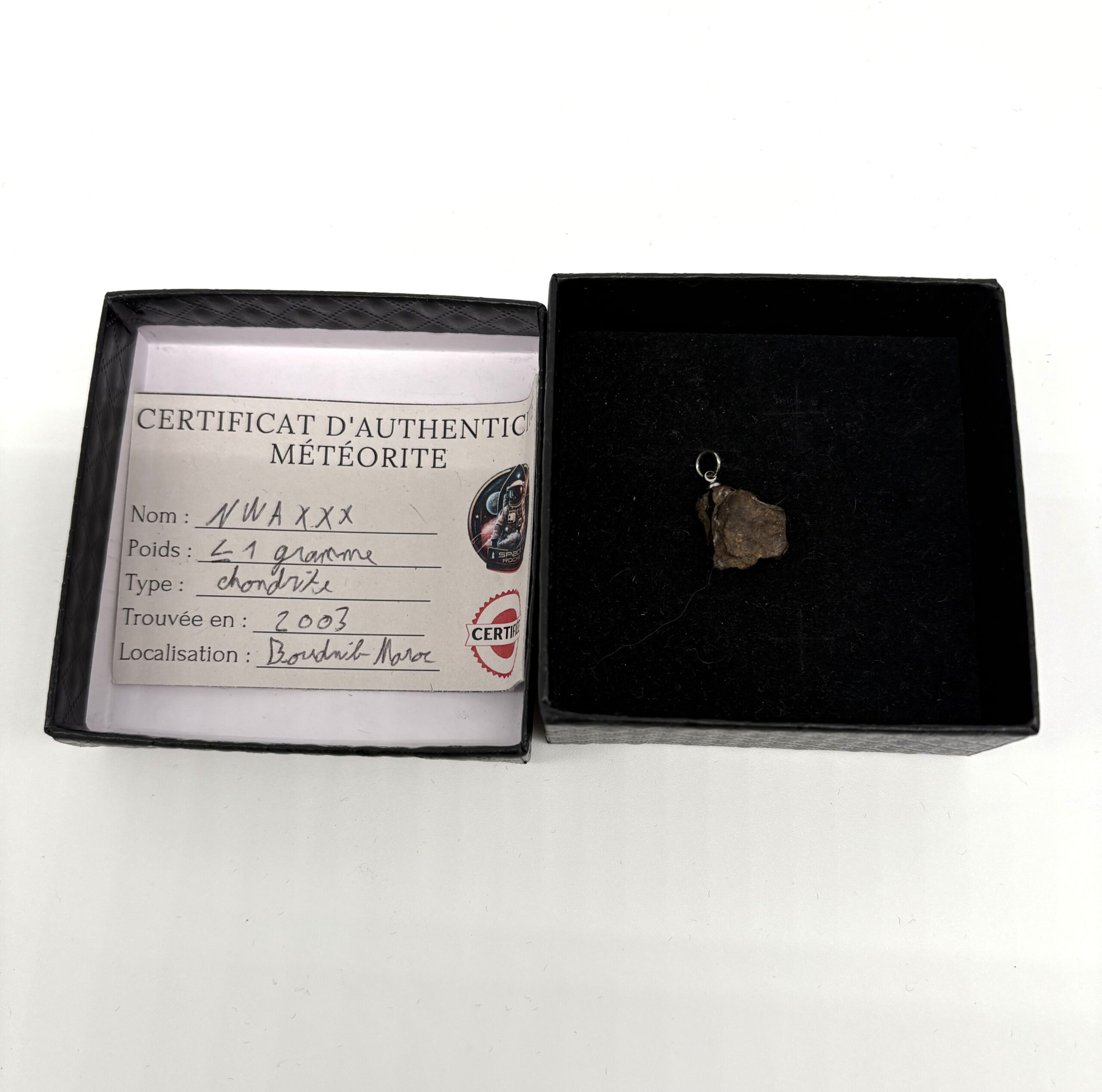 Chondrit-Anhänger Nwa xxx (5)