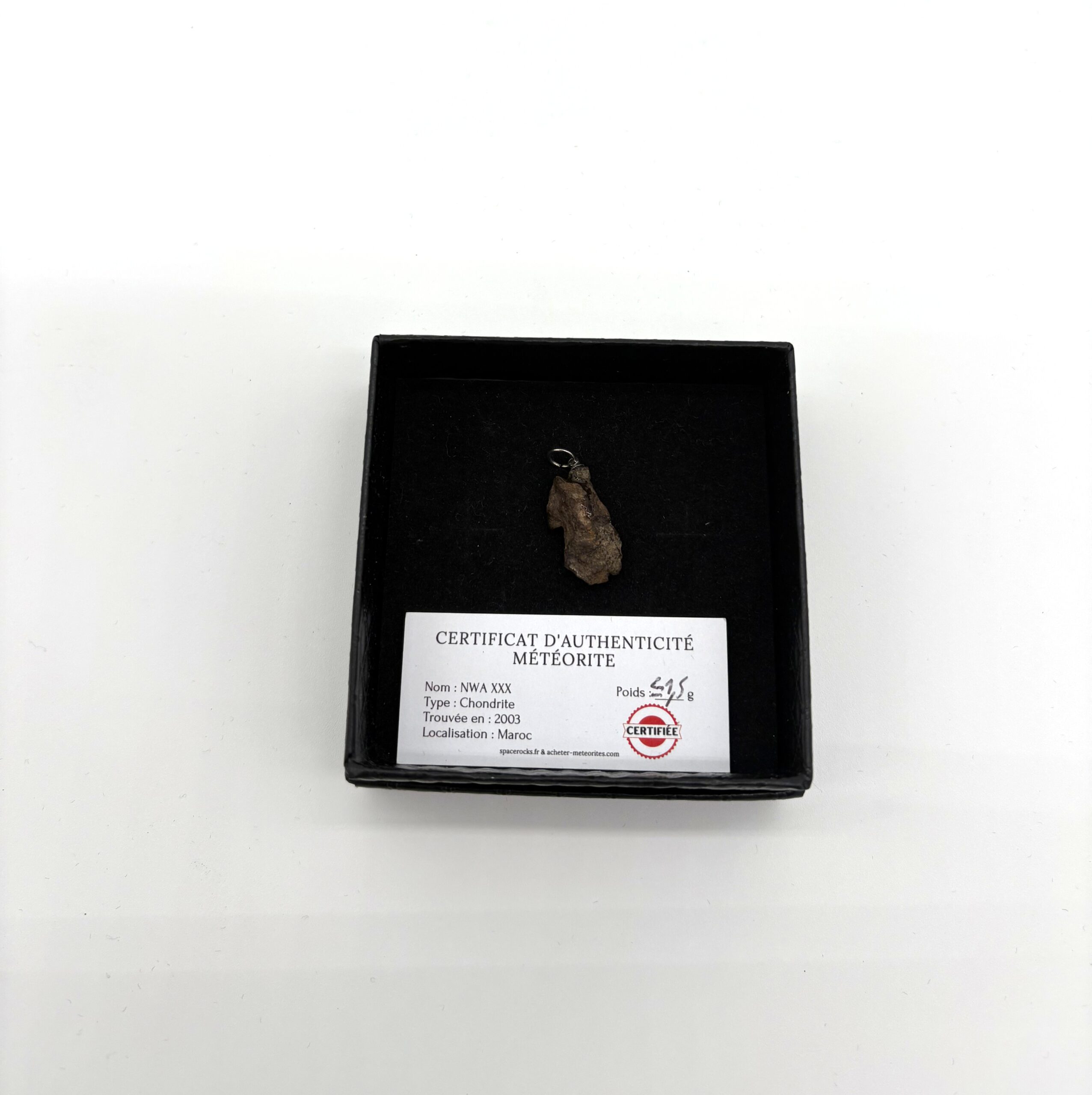 Chondrit-Anhänger Nwa xxx (6)