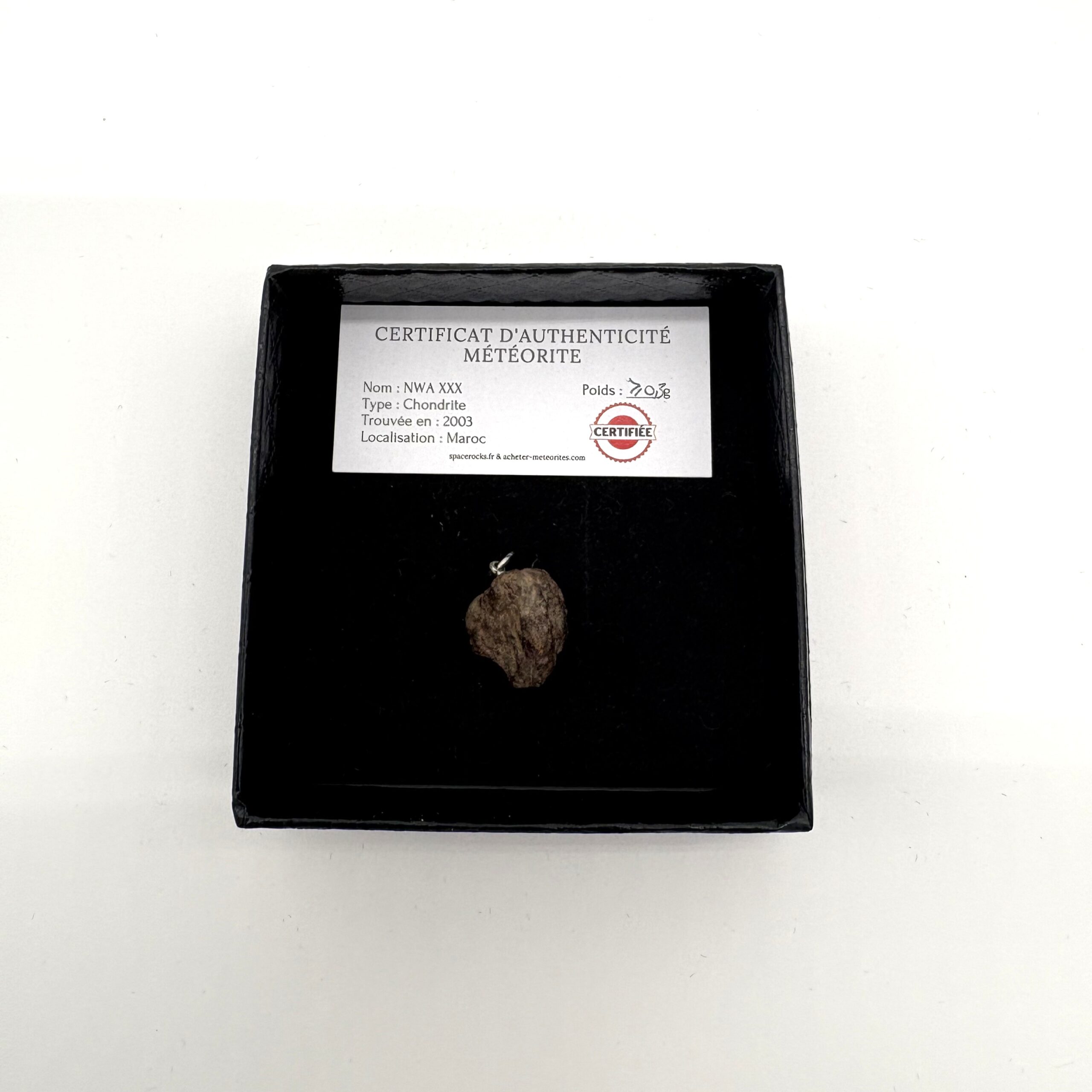 Chondrit-Anhänger Nwa xxx (7)