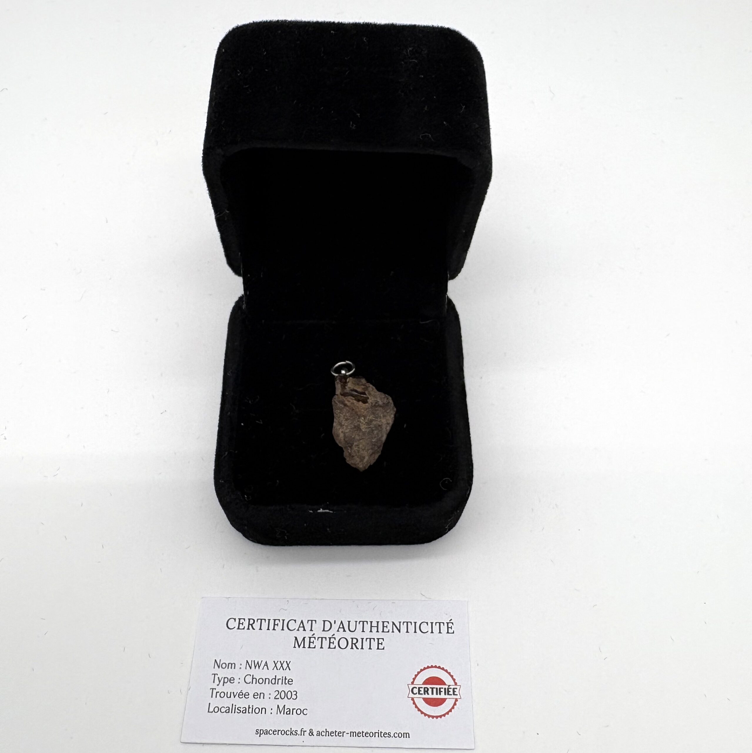Chondrit-Anhänger Nwa xxx (8)