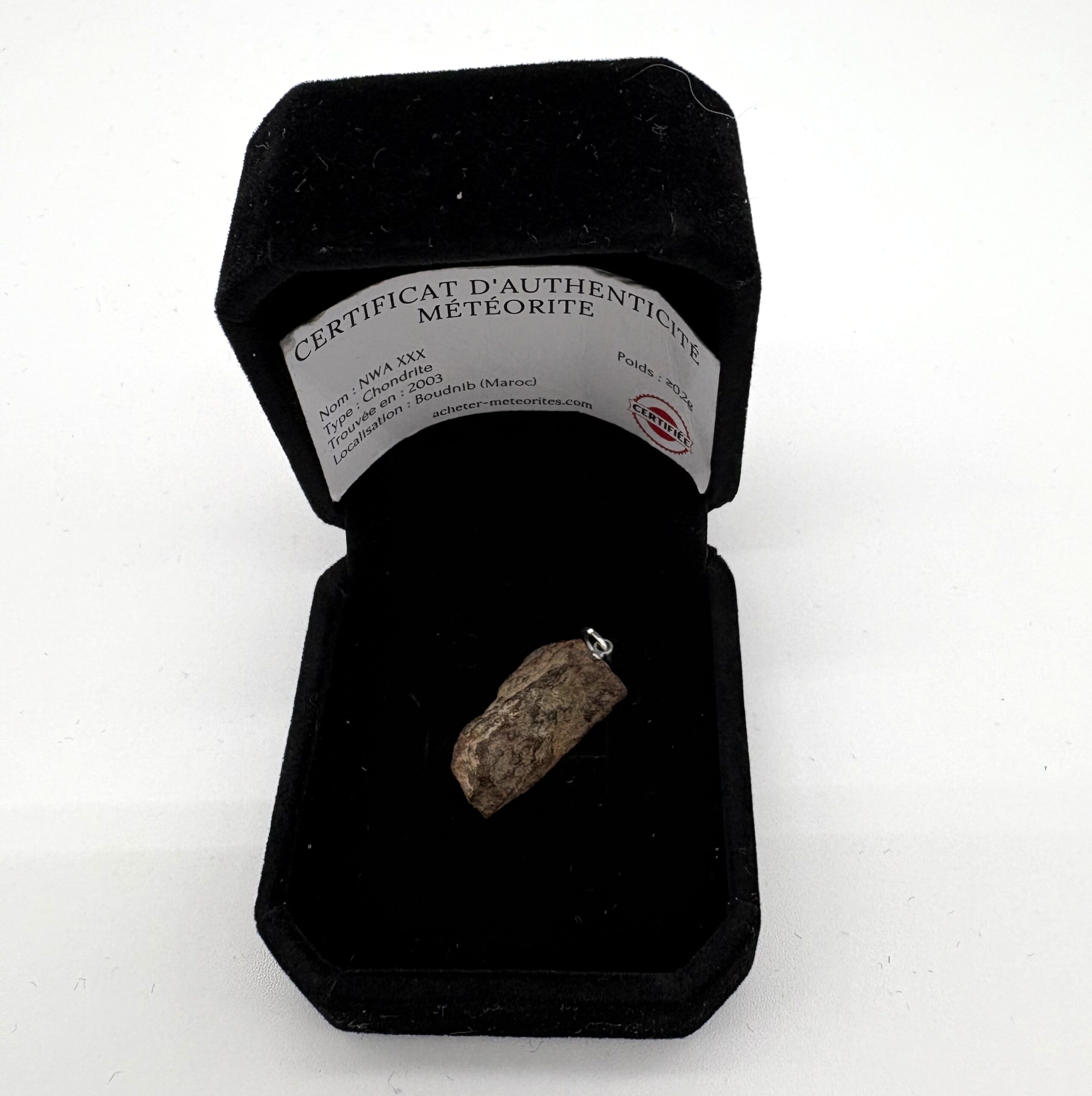 Chondrit-Anhänger Nwa xxx (9)