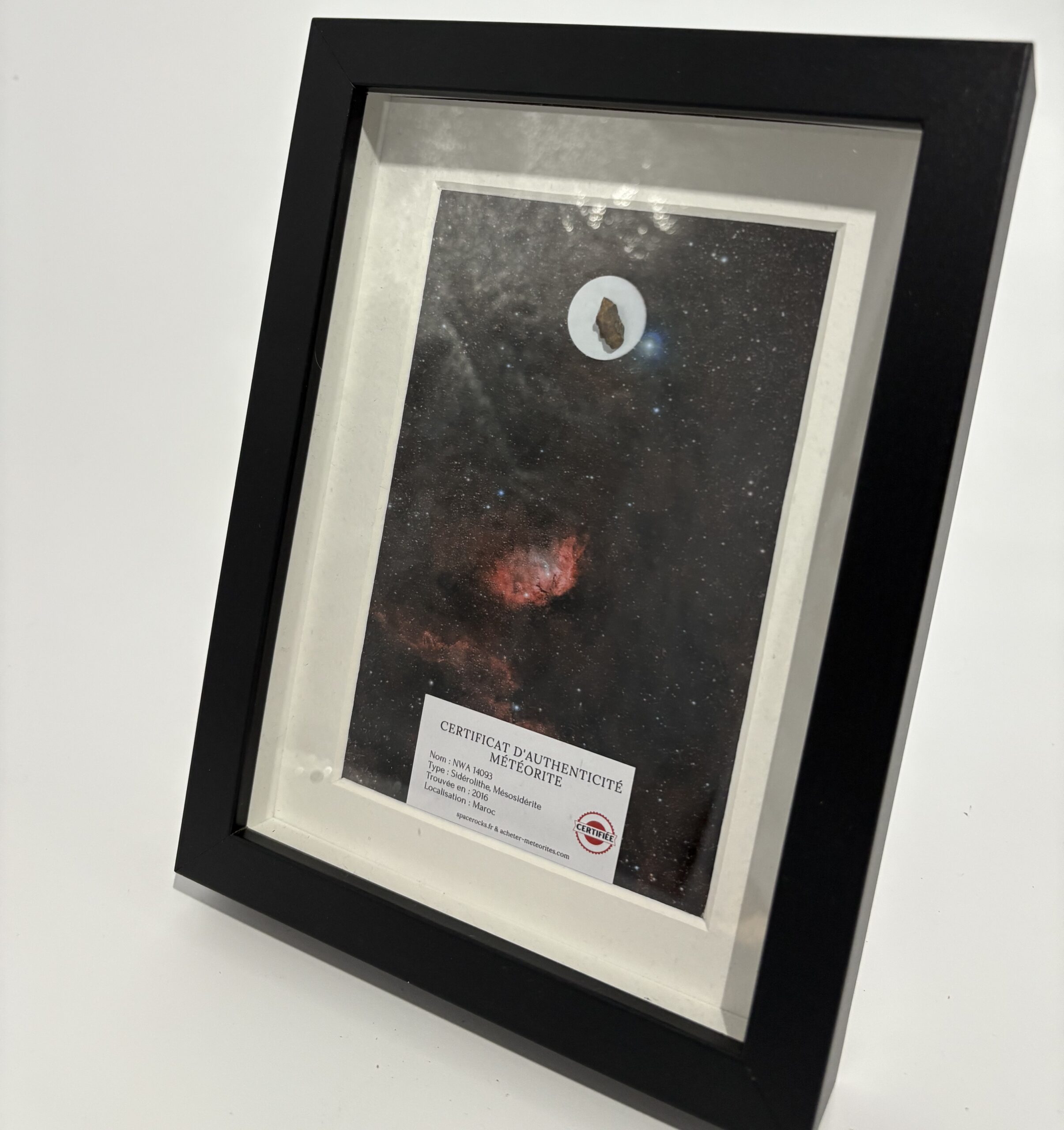 Schwarzer Rahmen Tulpe Mesosiderit