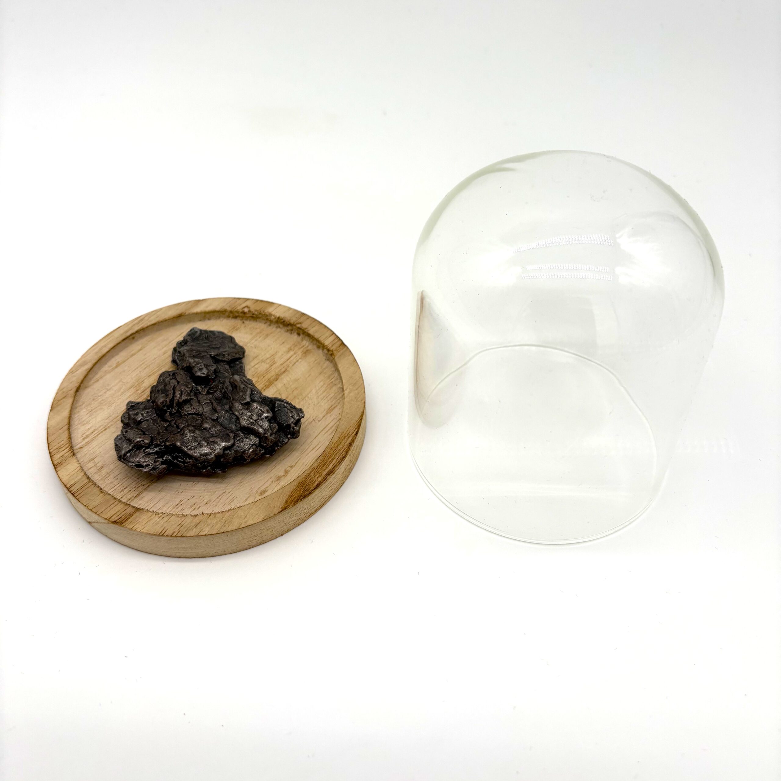 astronomisches Geschenk Meteorit campo del cielo unter Glasglocke