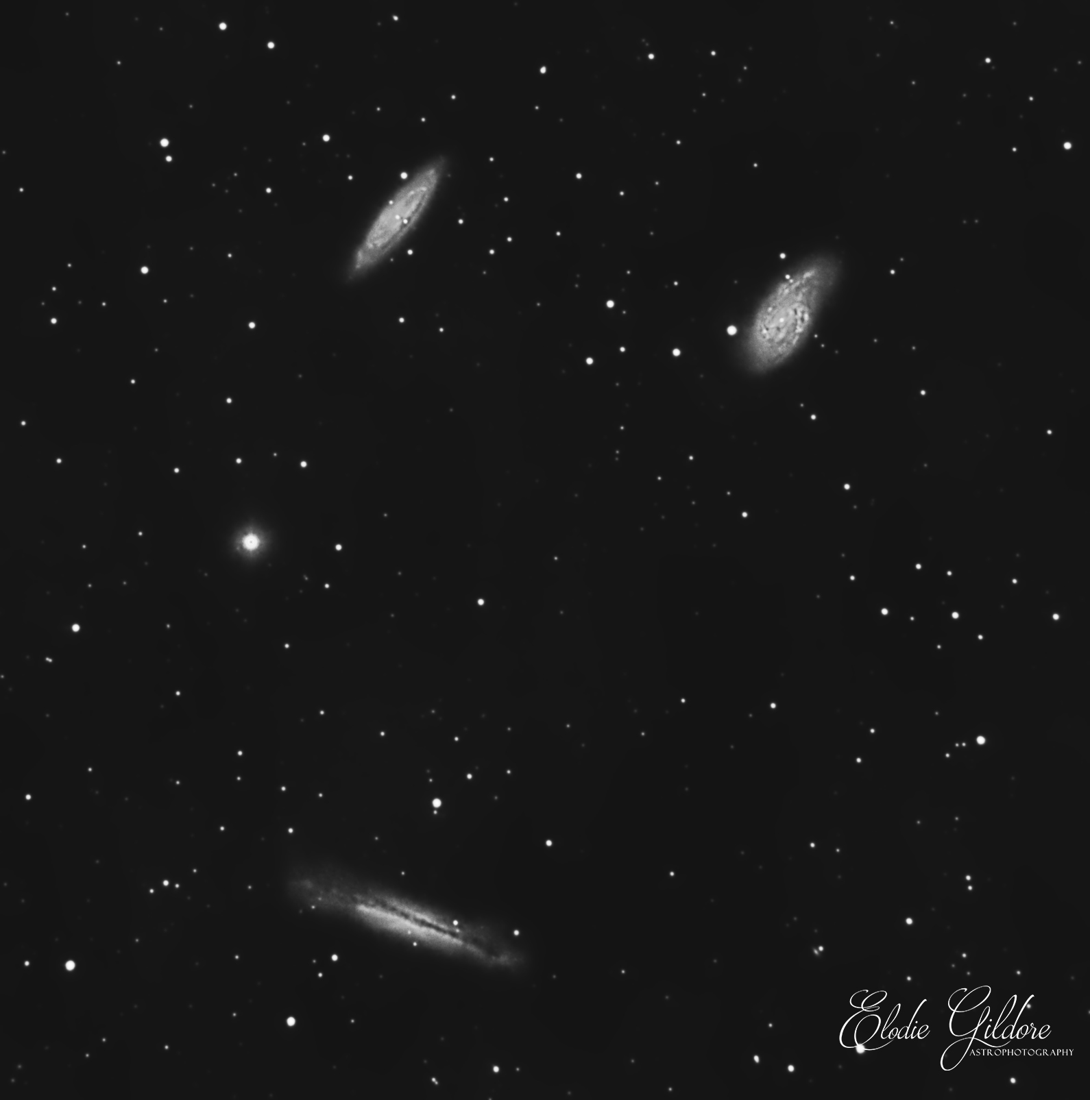 Leo Triplet