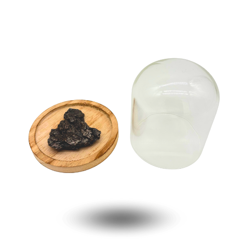 Astronomisches Geschenk Meteorit campo del cielo unter Glasglocke