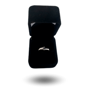 bague laayoune 003 météorite lune lunaire