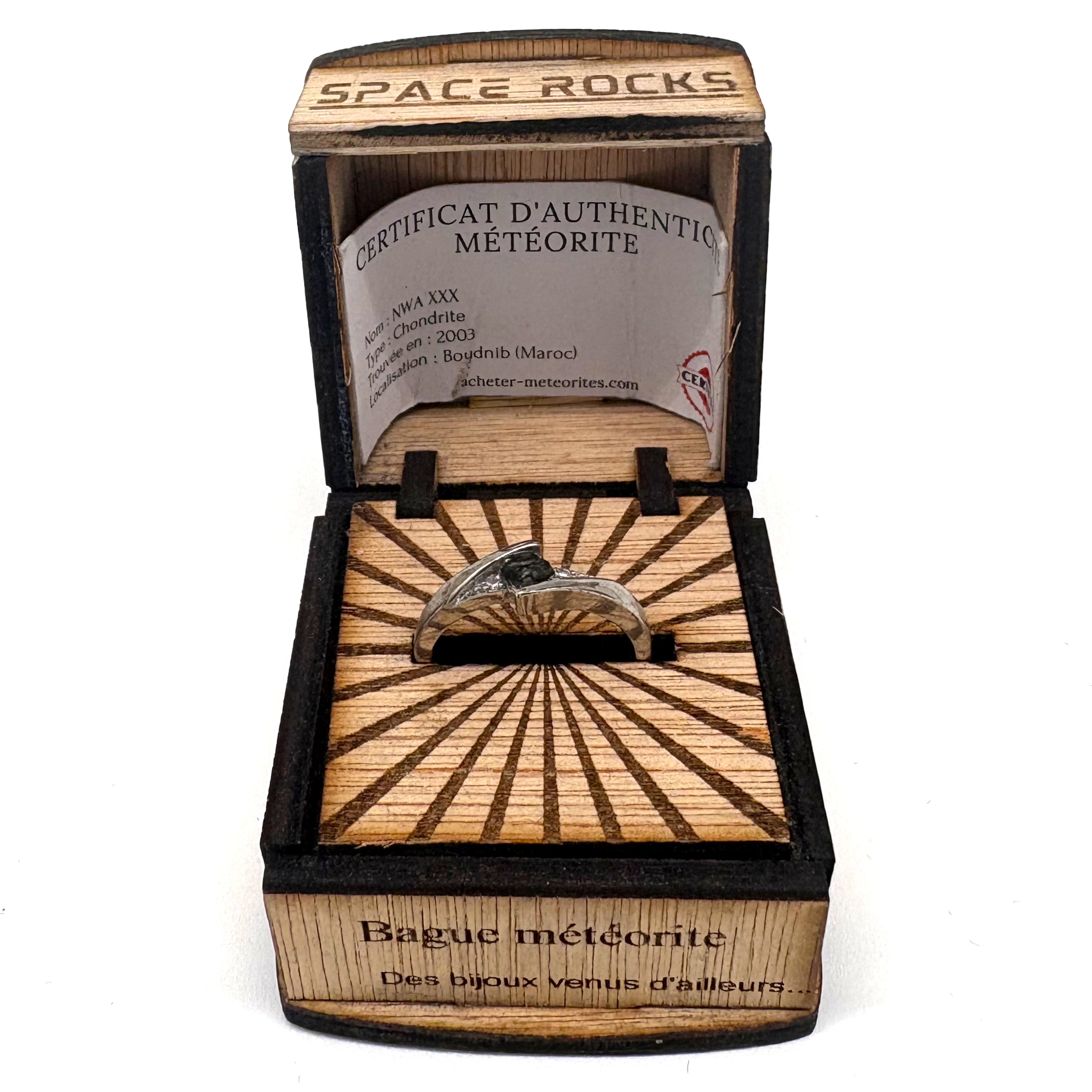 NWA Meteoritenring (1)