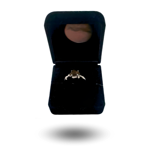 Ring Meteorit Mars Mars amagala 001