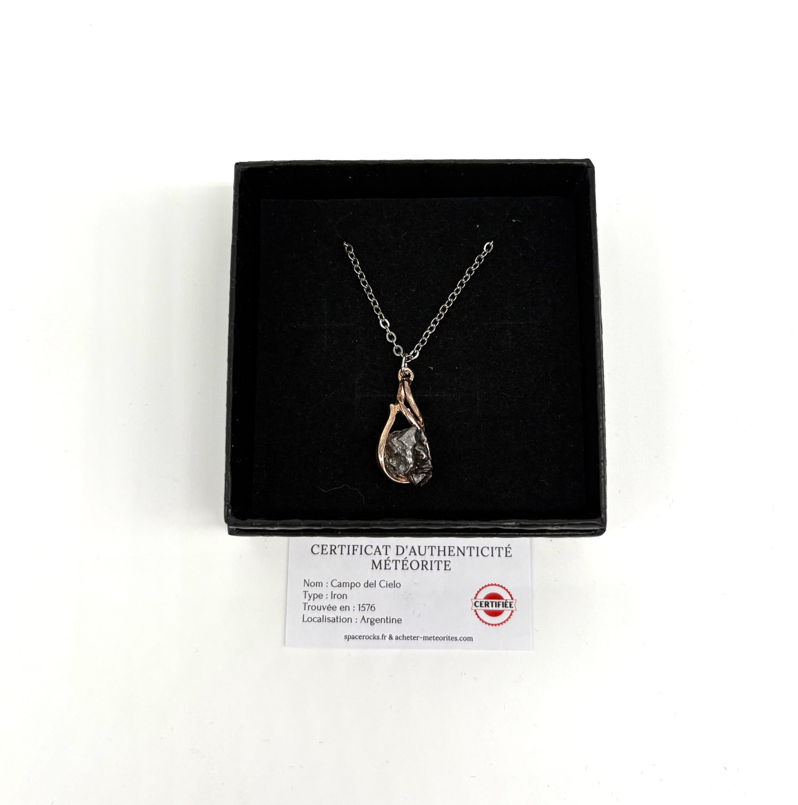 Schmuckstück Campo del Cielo (1)