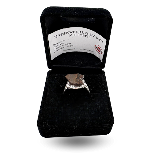 Moderner versilberter Siegelring - Aletai Meteorit