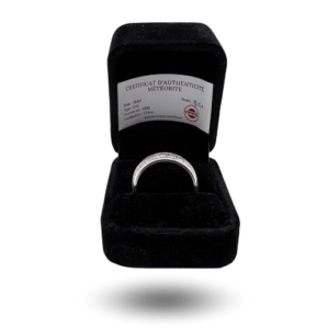 Bague couleur argent avec bande de météorite Aletai incrustée