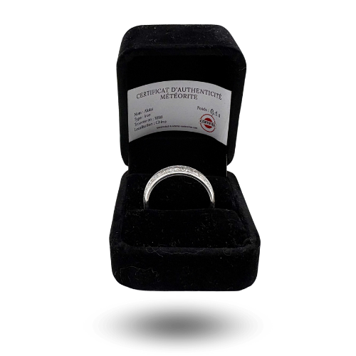 Silberfarbener Ring mit eingelegtem Aletai-Meteoritenstreifen