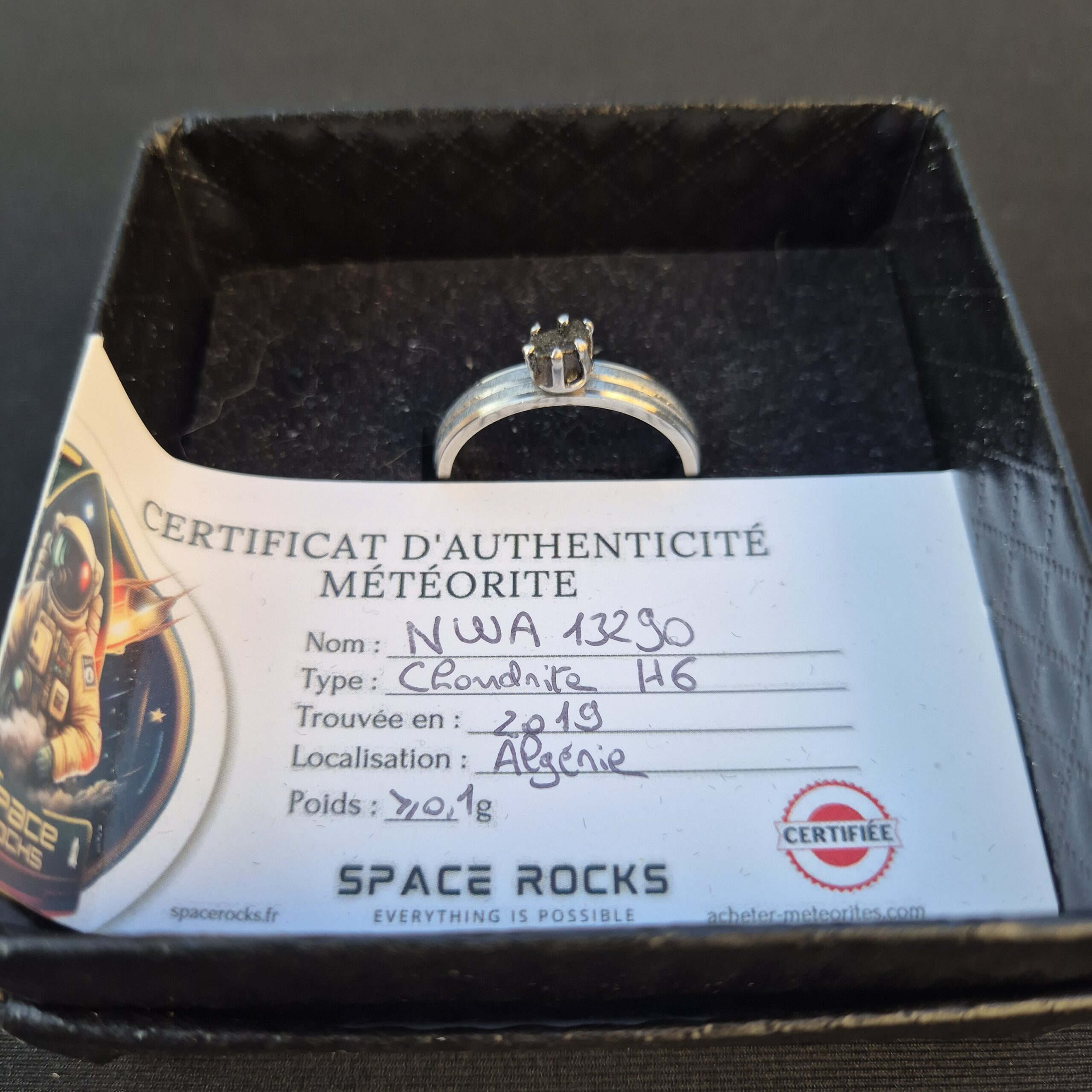 Bague design argentée double bande et météorite NWA 13290