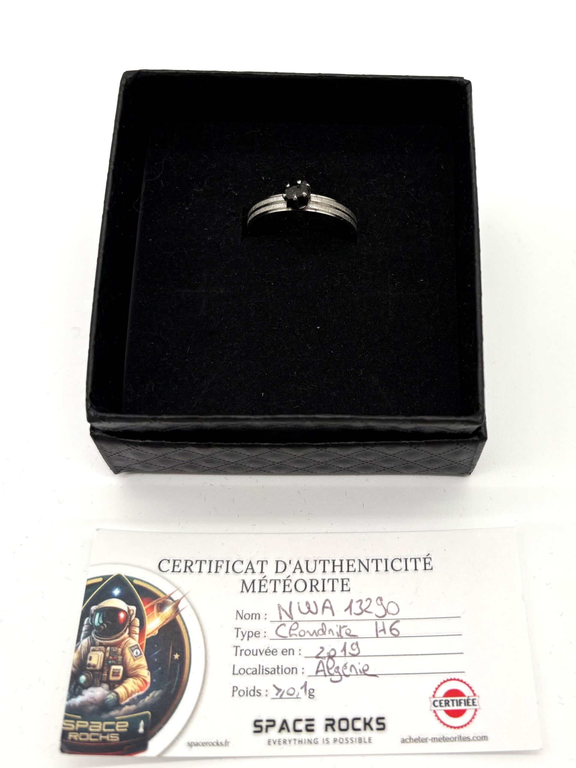 Silberner Designring - Doppelband und Meteorit NWA 13290