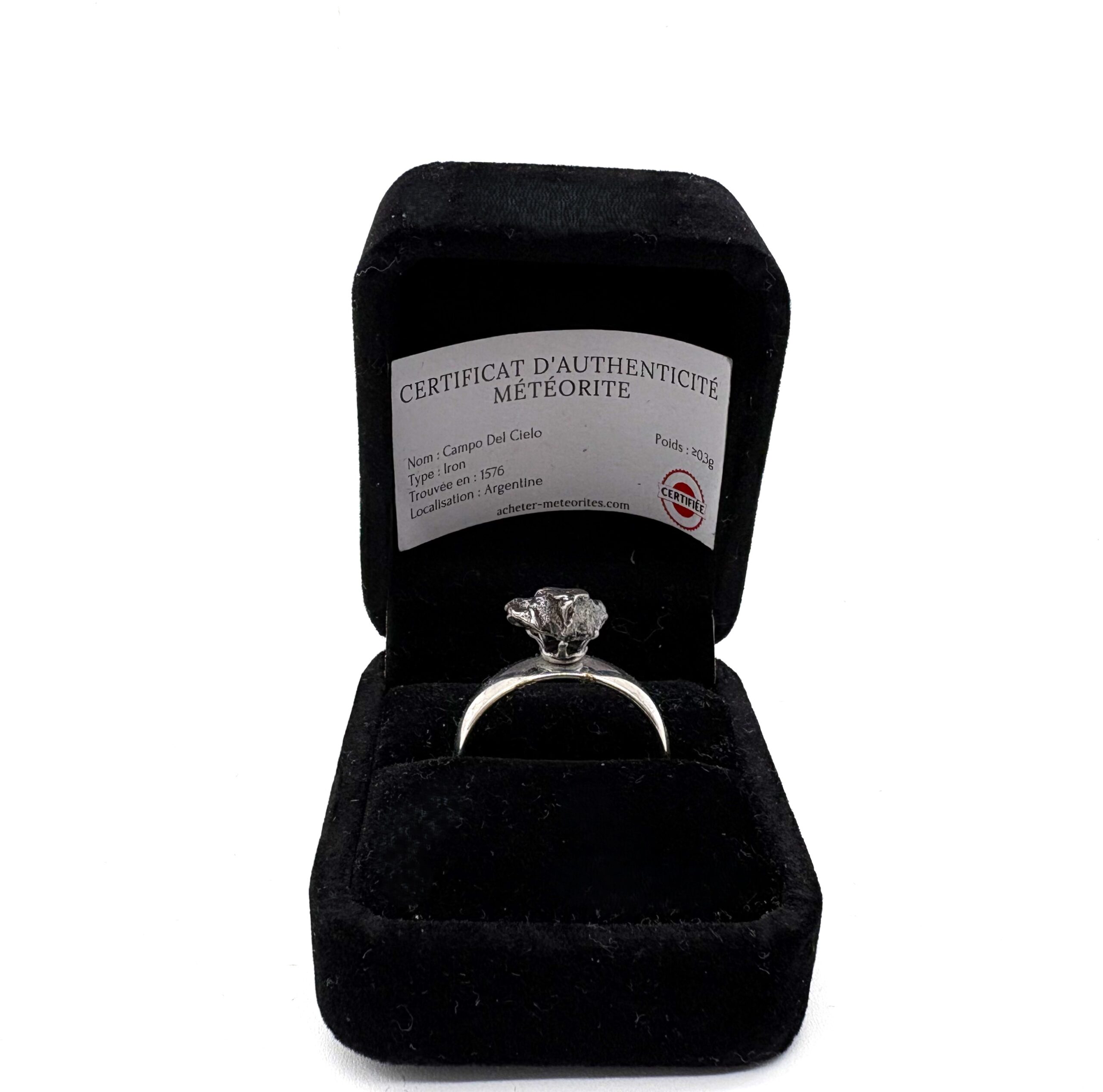 Eleganter silberfarbener Ring mit Meteorit Campo del Cielo