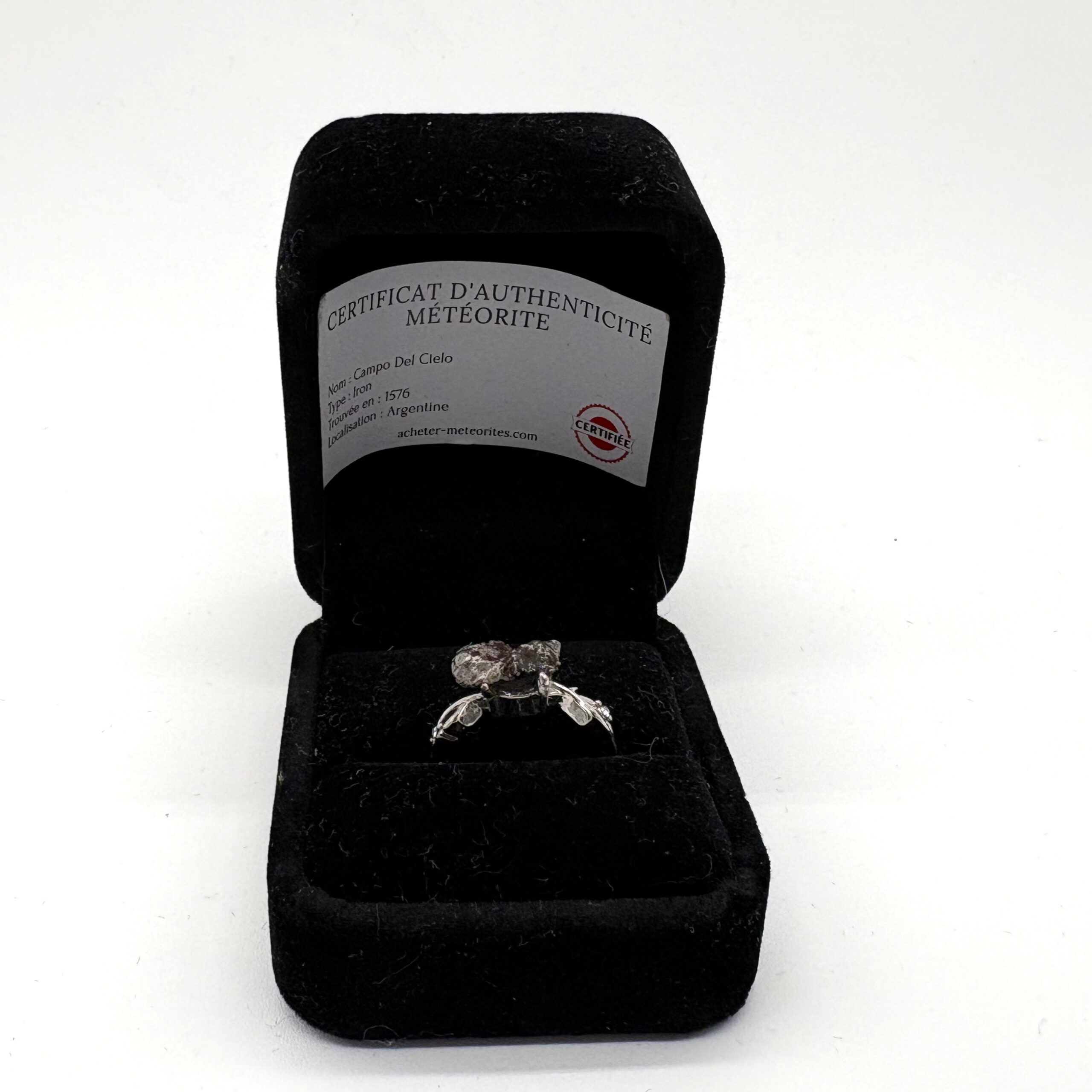 Silberner Fantasiering - Weinblatt und Campo del Cielo Motiv