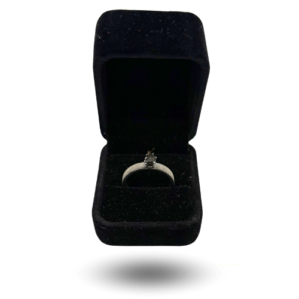 Bague moderne argentée avec NWA 13290