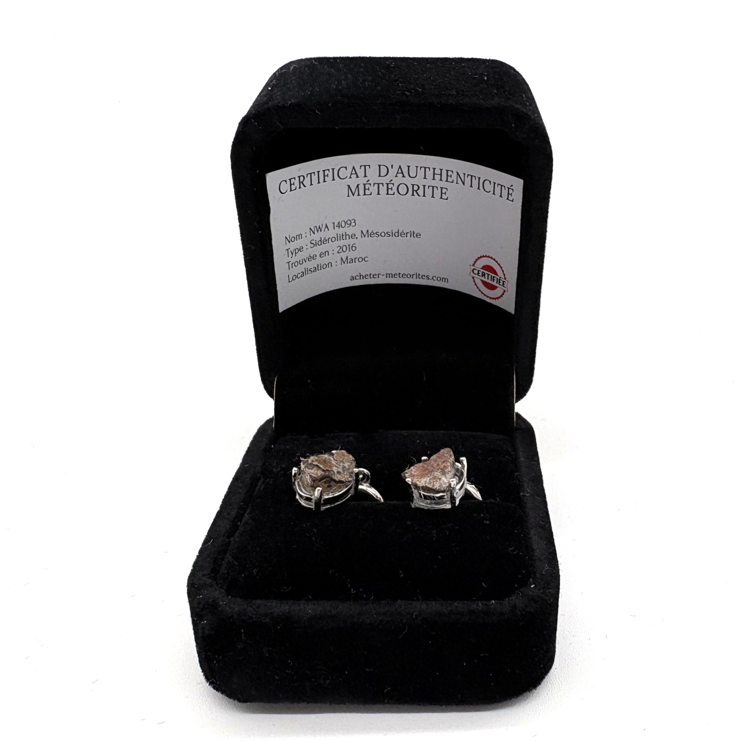 Silberne Ohrringe mit Meteorit NWA 14093