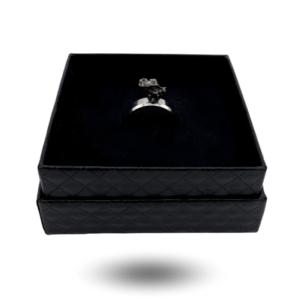 bague meteorite campo del cielo