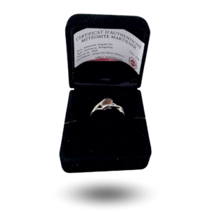 bague météorite martienne