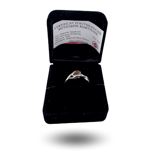 Ring eines Marsmeteoriten