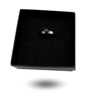 bague meteorite nwa 13290