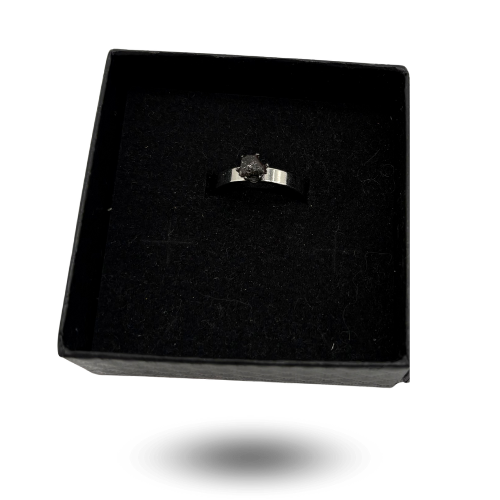 Ring Meteorit Nwa 13290