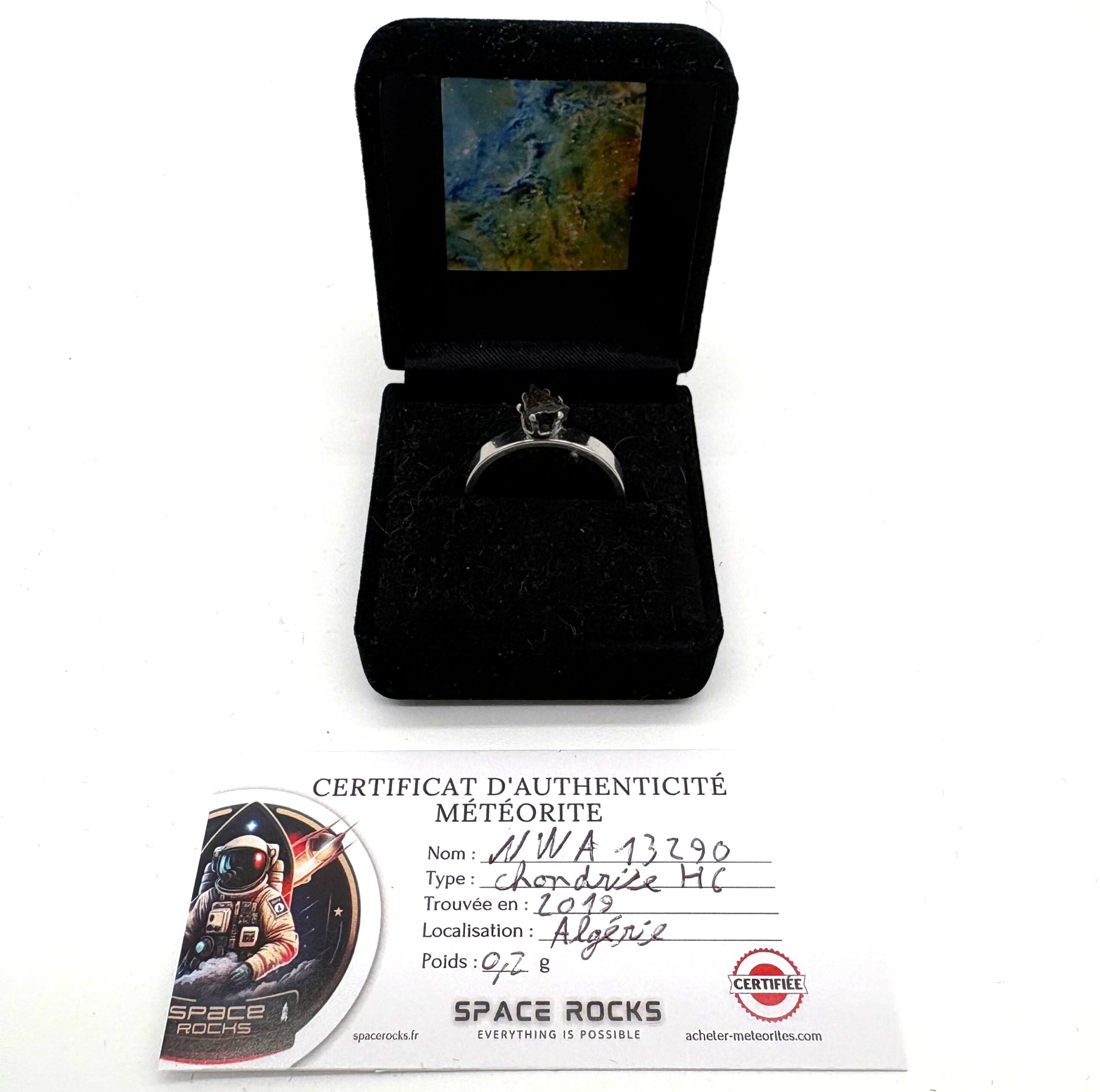 raffinierter Ring Meteorit