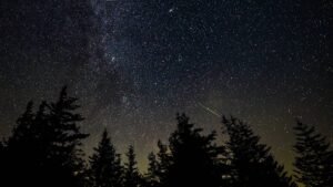 Eine Sternschnuppe, die über einem Nadelwald den Sternenhimmel durchquert