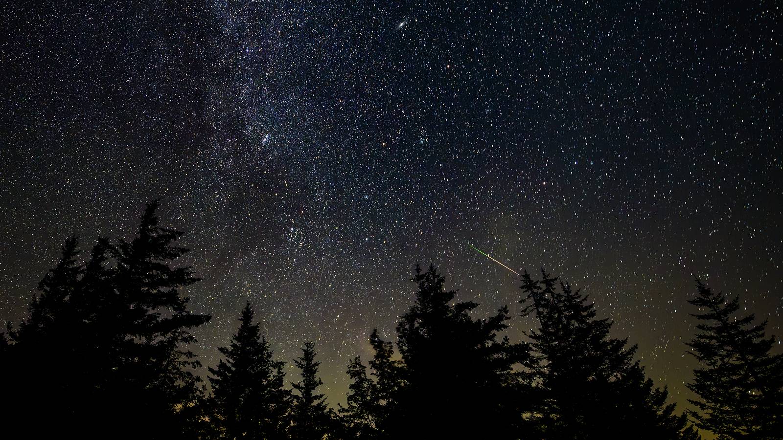 Eine Sternschnuppe, die über einem Nadelwald den Sternenhimmel durchquert